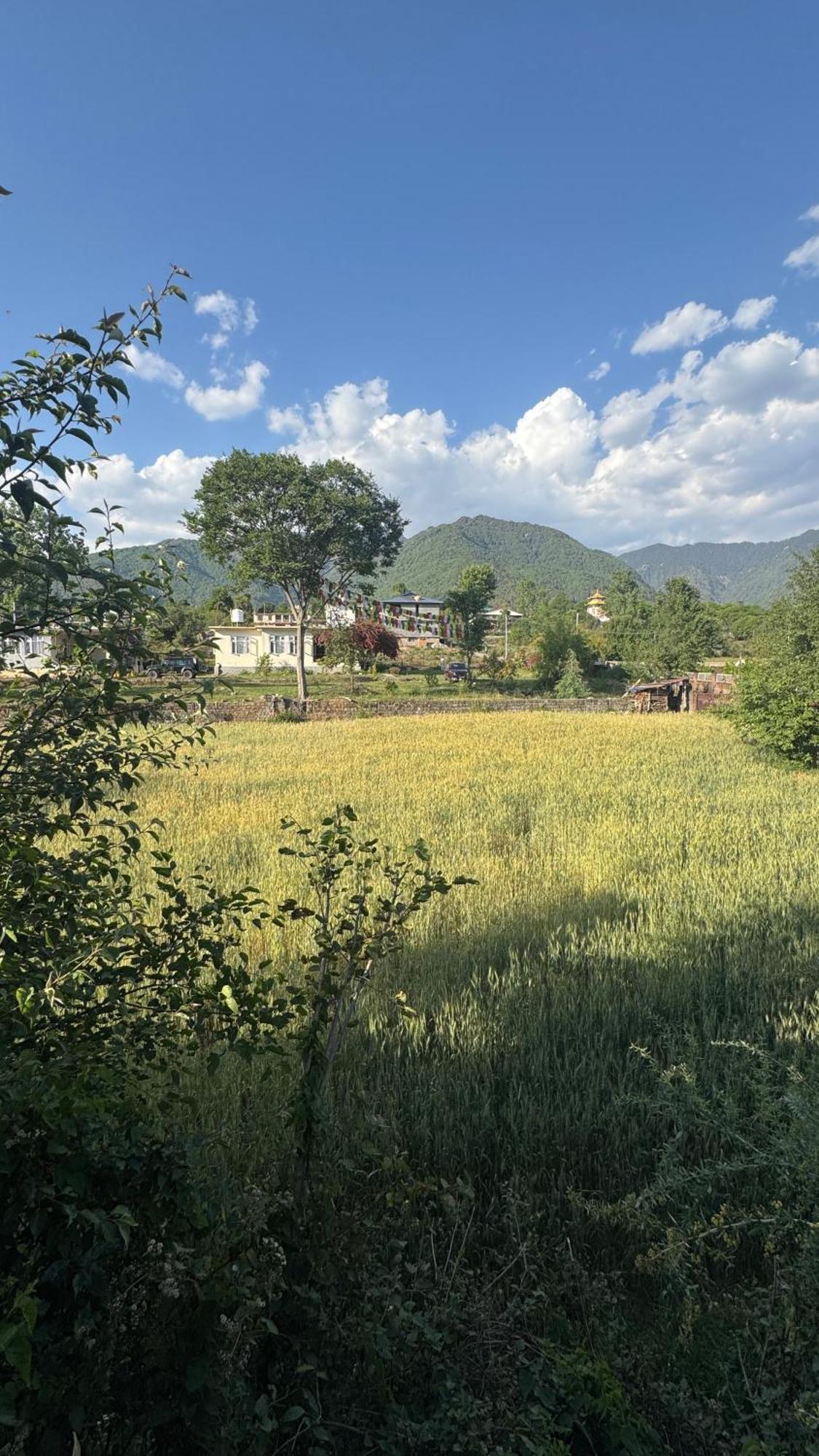 Namlang Resort Bir  Exterior photo